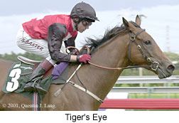 r8tigerseye2.jpg (14748 bytes)