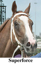 r4head.jpg (16949 bytes)