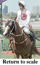 r4rtosc.jpg (18338 bytes)