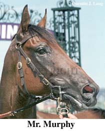 r5mrm.jpg (19452 bytes)