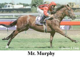 r5mrm2.jpg (19583 bytes)