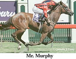 r5mrm3.jpg (20787 bytes)