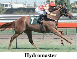 r6hydro.jpg (19498 bytes)