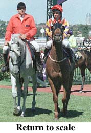 r6rtosc.jpg (21645 bytes)