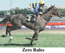 r7zeror.jpg (21089 bytes)