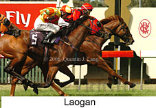 Laogan (14872 bytes)