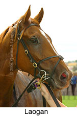 Laogan (14872 bytes)