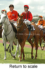 Return to scale (15361 bytes)