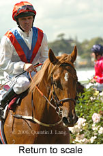 Return to scale (15361 bytes)