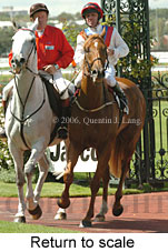 Return to scale (15361 bytes)