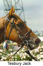 Tesbury Jack (14872 bytes)