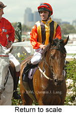 Return to scale (15361 bytes)