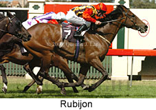 Rubijon (14872 bytes)