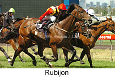 Rubijon (14872 bytes)