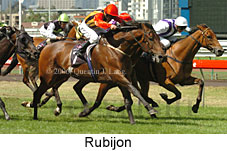 Rubijon (14872 bytes)