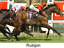 Rubijon (14872 bytes)