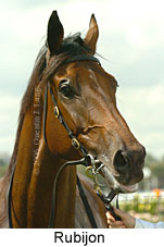 Rubijon (14872 bytes)