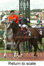 Return to scale (15361 bytes)