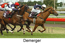 Demerger (14872 bytes)