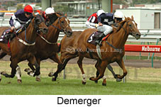 Demerger (14872 bytes)