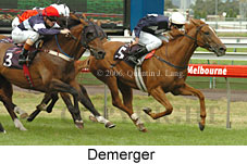 Demerger (14872 bytes)