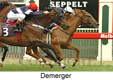 Demerger (14872 bytes)