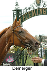 Demerger (14872 bytes)