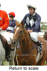 Return to scale (15361 bytes)