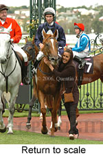 Return to scale (15361 bytes)