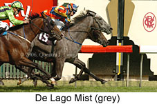 De Lago Mist (18229 bytes)