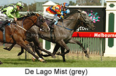 De Lago Mist (14872 bytes)