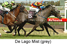 De Lago Mist (14872 bytes)