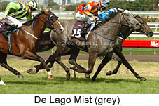 De Lago Mist (14872 bytes)