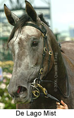 De Lago Mist (14872 bytes)