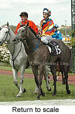 Return to scale (15361 bytes)