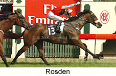 Rosden (14872 bytes)