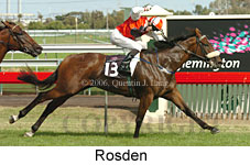 Rosden (14872 bytes)