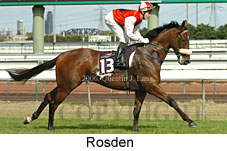 Rosden (14872 bytes)