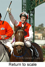 Return to scale (15361 bytes)