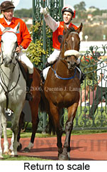 Return to scale (15361 bytes)