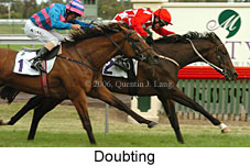 Doubting (14872 bytes)