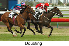 Doubting (18229 bytes)