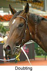 Doubting (14872 bytes)