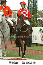 Return to scale (15361 bytes)