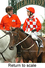 Return to scale (15361 bytes)