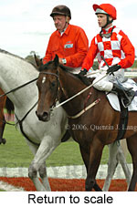 Return to scale (15361 bytes)