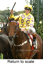 Return to scale (15361 bytes)