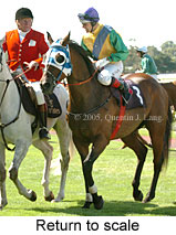 Return to scale (15361 bytes)