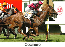 Cocinero (14872 bytes)