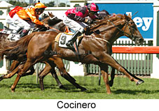 Cocinero (14872 bytes)